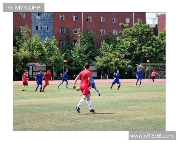 杭州乒乓球队边路渗透战术解析与实战应用探讨