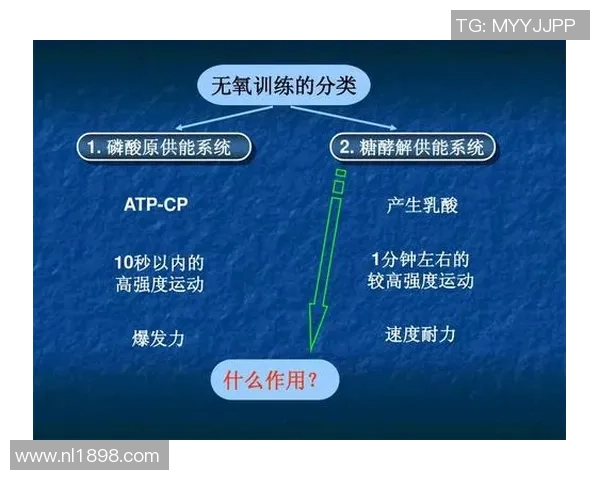 科学羽毛球技术训练的系统方法与实用技巧探讨